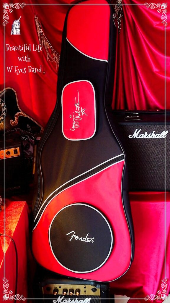 Guitar case