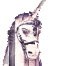 unicorn gif